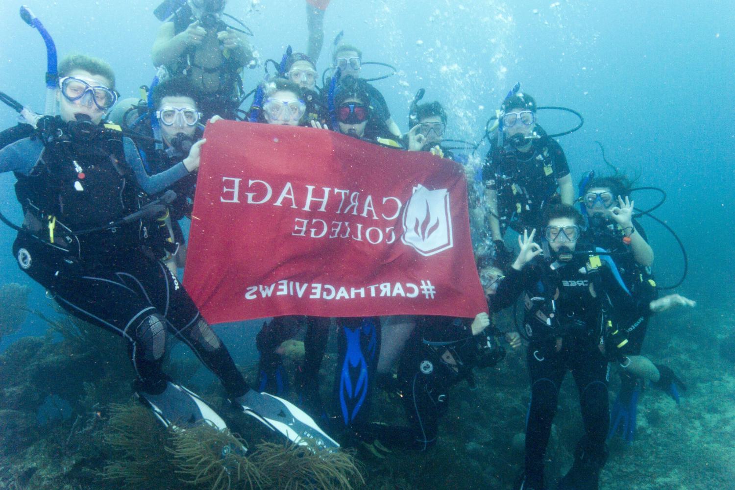 学生们手持<a href='http://gwp.lavoroanapoli.net'>博彩网址大全</a>旗帜，在j学期洪都拉斯游学之旅中潜水.